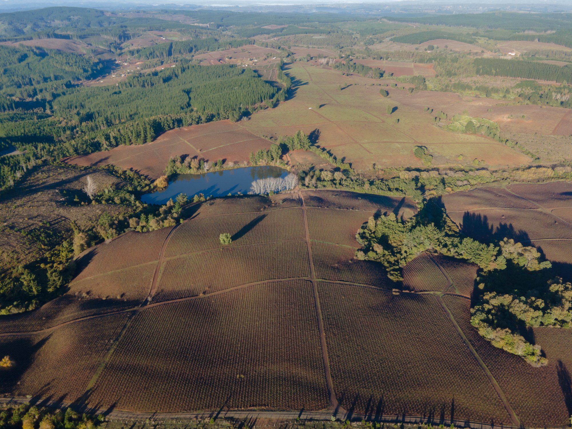 DJI_0814 DJI_0814