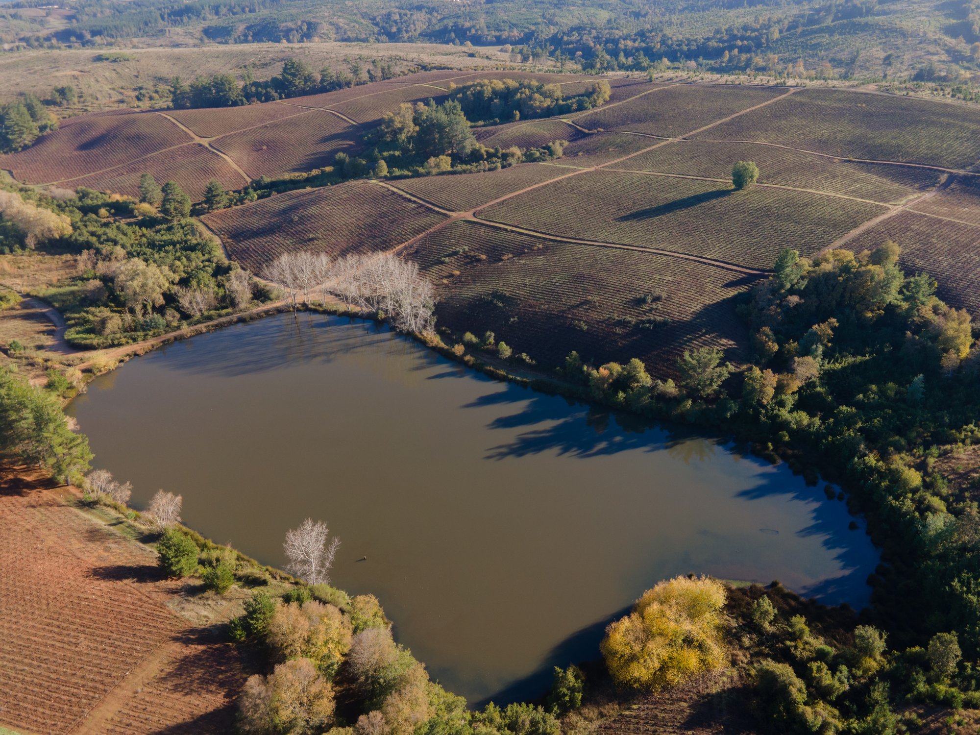 DJI_0827 DJI_0827