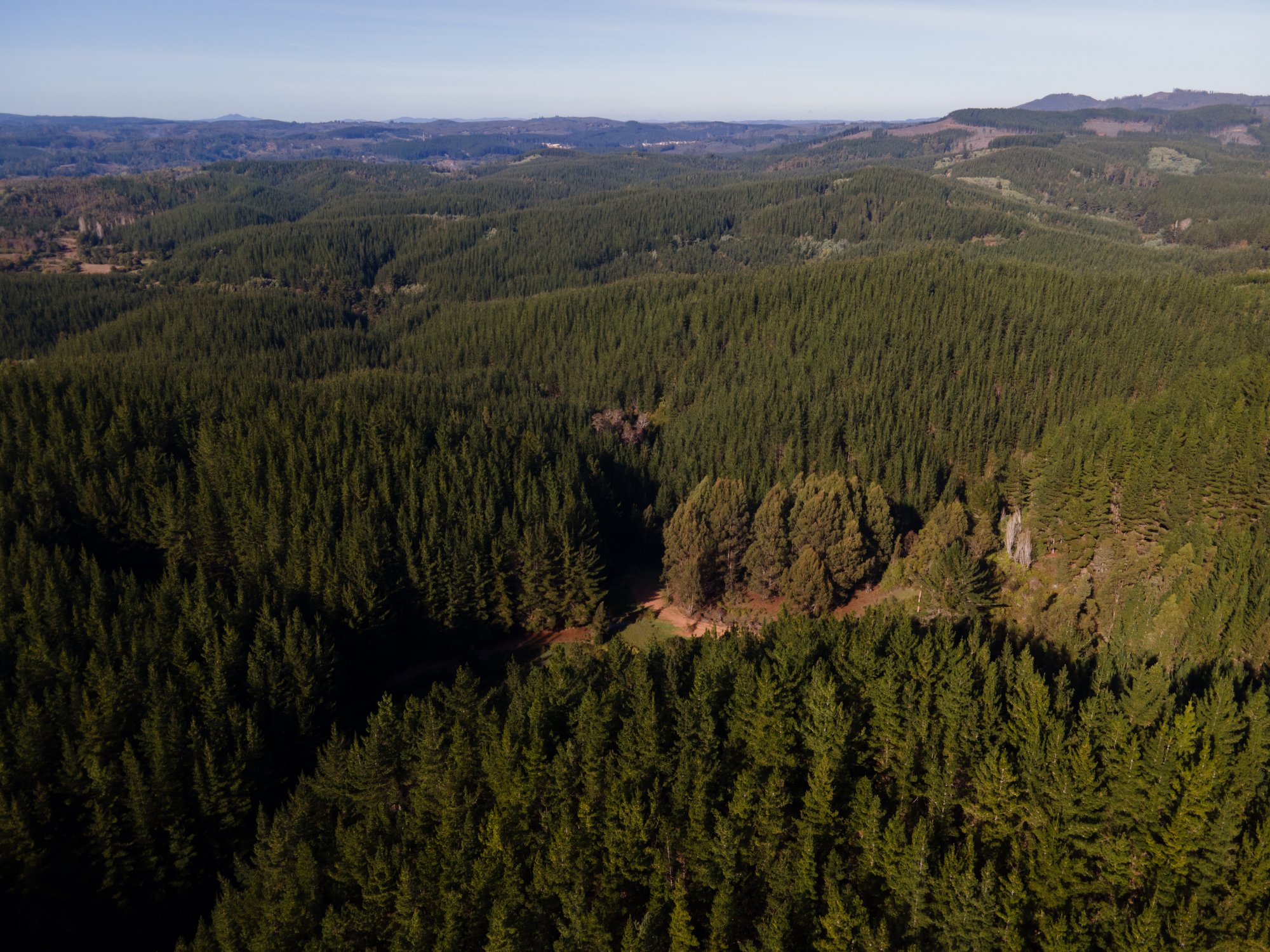 DJI_0843-2