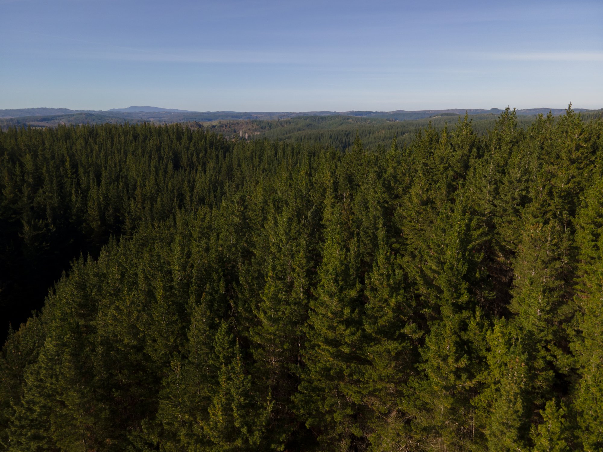 DJI_0845